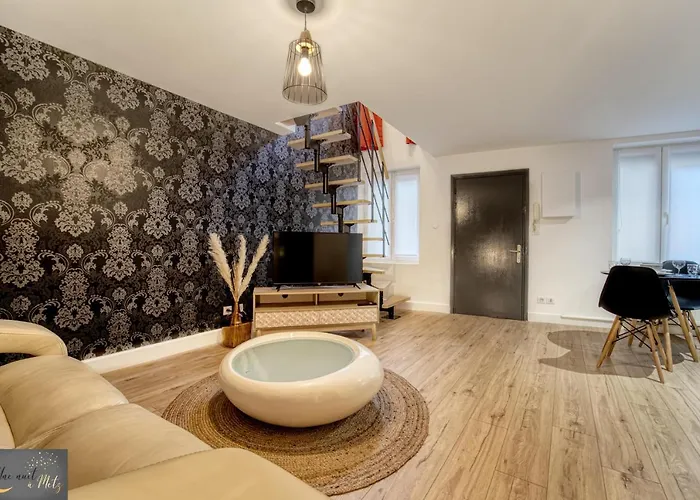 Et Sauna Au Coeur De 公寓 梅斯